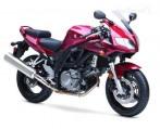 SV 650 S vínová model 2007