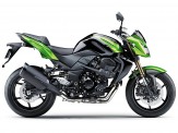 Z 750 R zelenočerná