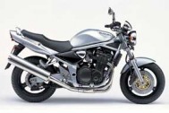 GSF 1200 N Bandit  stříbrná