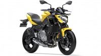 Z 650 žlutá 2018