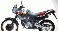 Dominator šedočerný