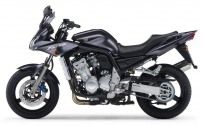 FZS 1000 šedá