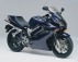 VFR 800 V-TEC model 2002-2004 modrá